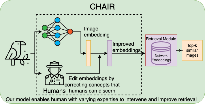 Thumbnail for Are They the Same Picture? Adapting Concept Bottleneck Models for Human-AI Collaboration in Image Retrieval